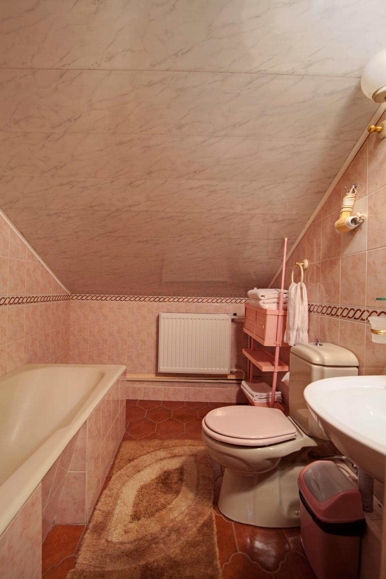 Dvoryanskiy Hotel Dnipro Rum bild